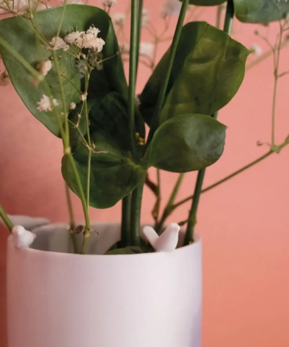Grand Vase en Porcelaine Chat et Oiseaux | Räder