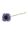 Anémone française violet de la marque Gry & Sif, sur fond blanc