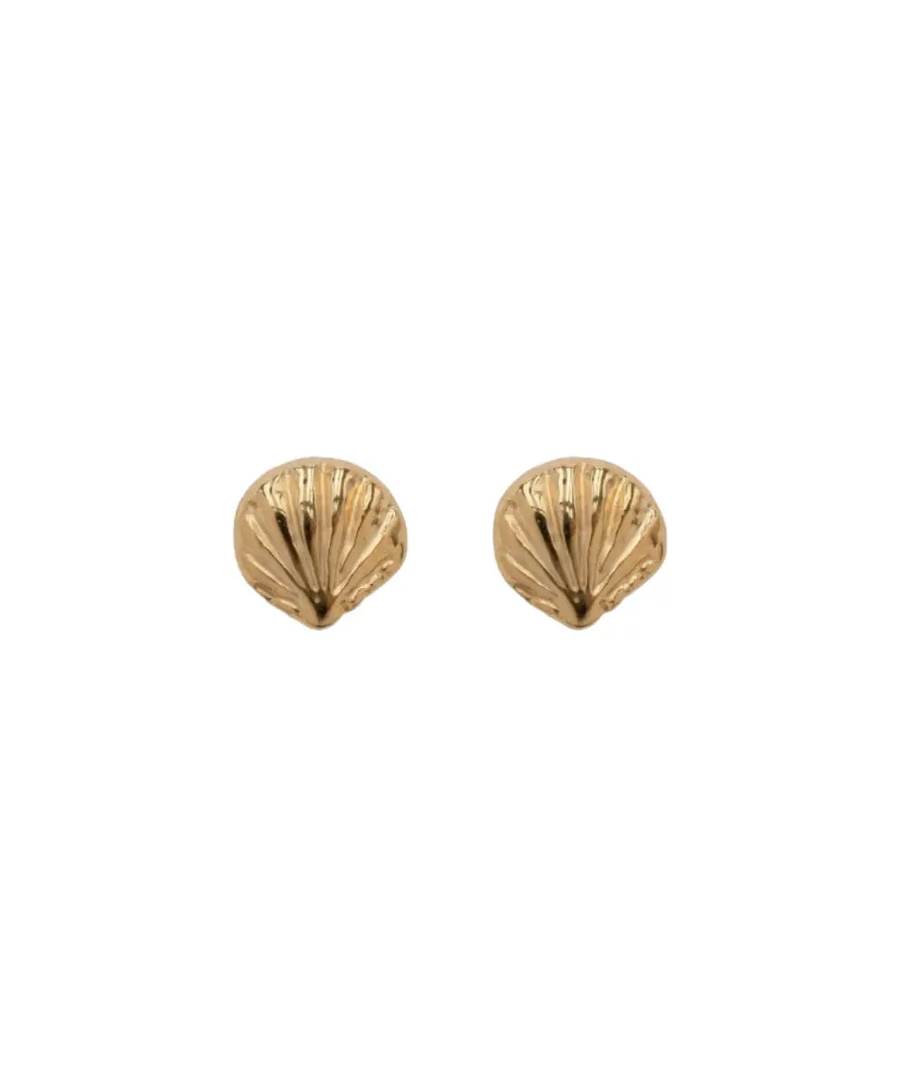 Boucles d’oreilles Puces Coquillage
