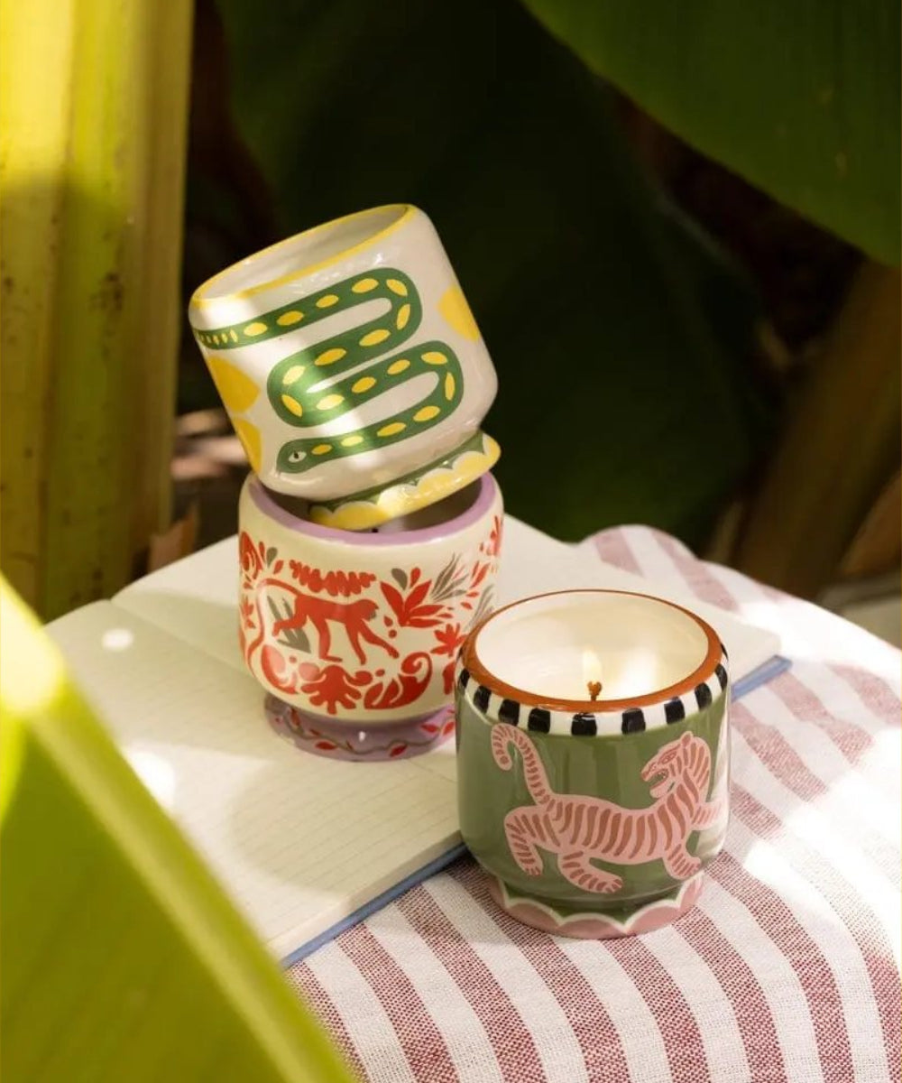 Gros plan en situation de Bougie Adopo Jungle Coconut & Amber de la marque Paddywax
