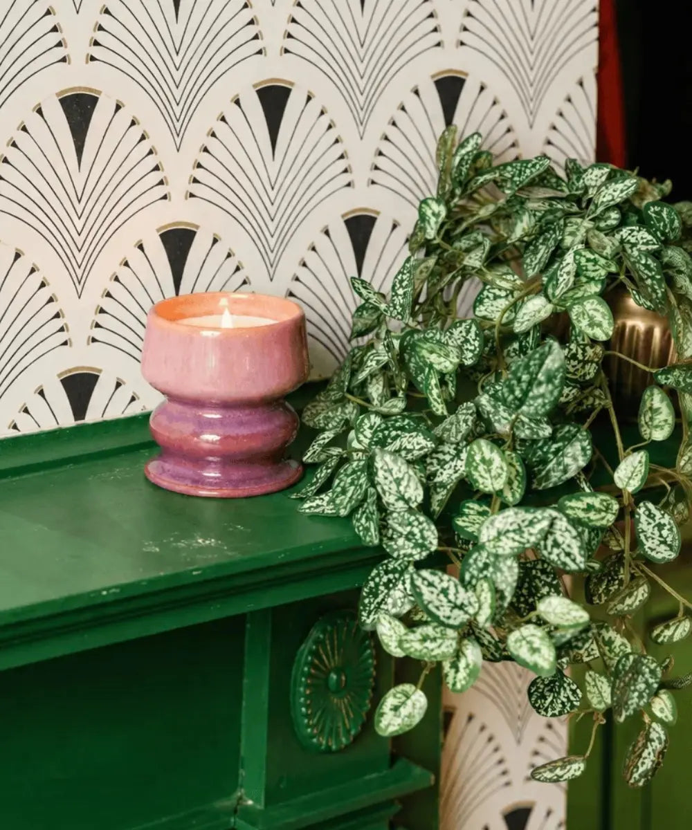 Bougie parfumee ceramique emaillee bicolore wild fig and cedar figue et cedre collection melt de la marque Paddywax