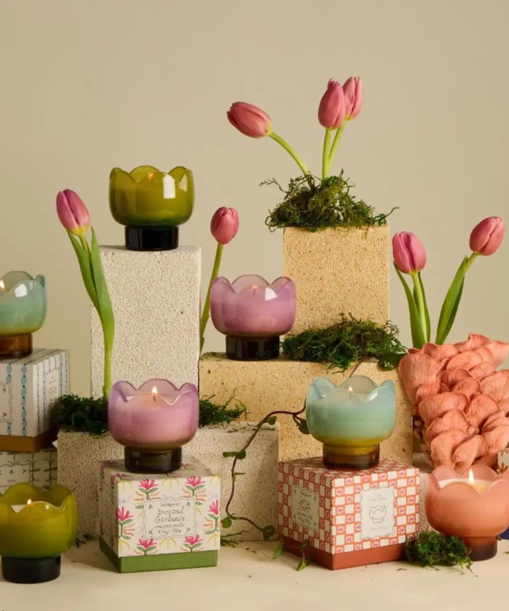 Bougie en verre Tulip Wisteria & Willow | Paddywax