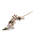Branche de fleurs de cerisier de la marque Gry & Sif, sur fond blanc