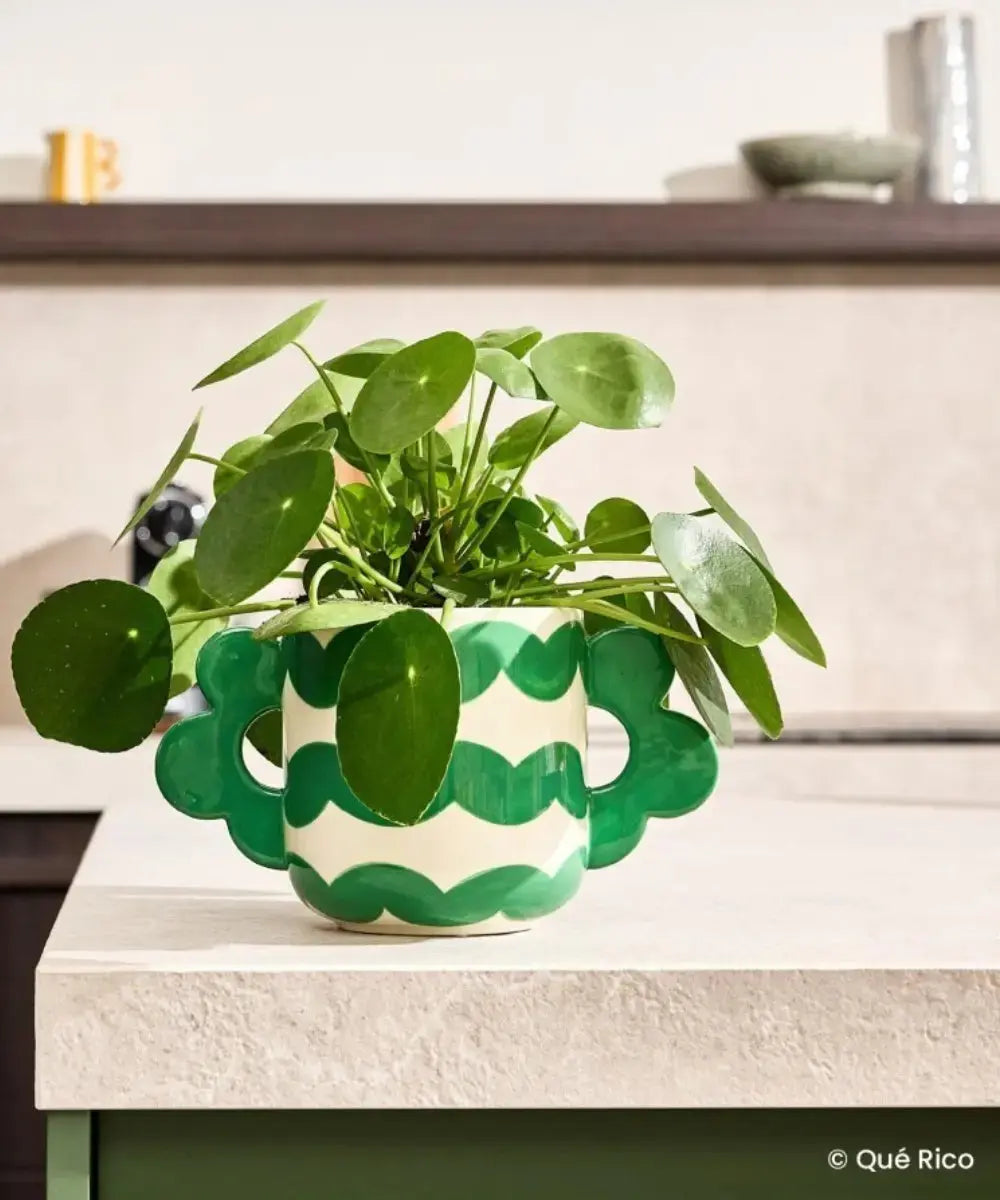Cache-pot en céramique Jacinta de Qué Rico avec une plante