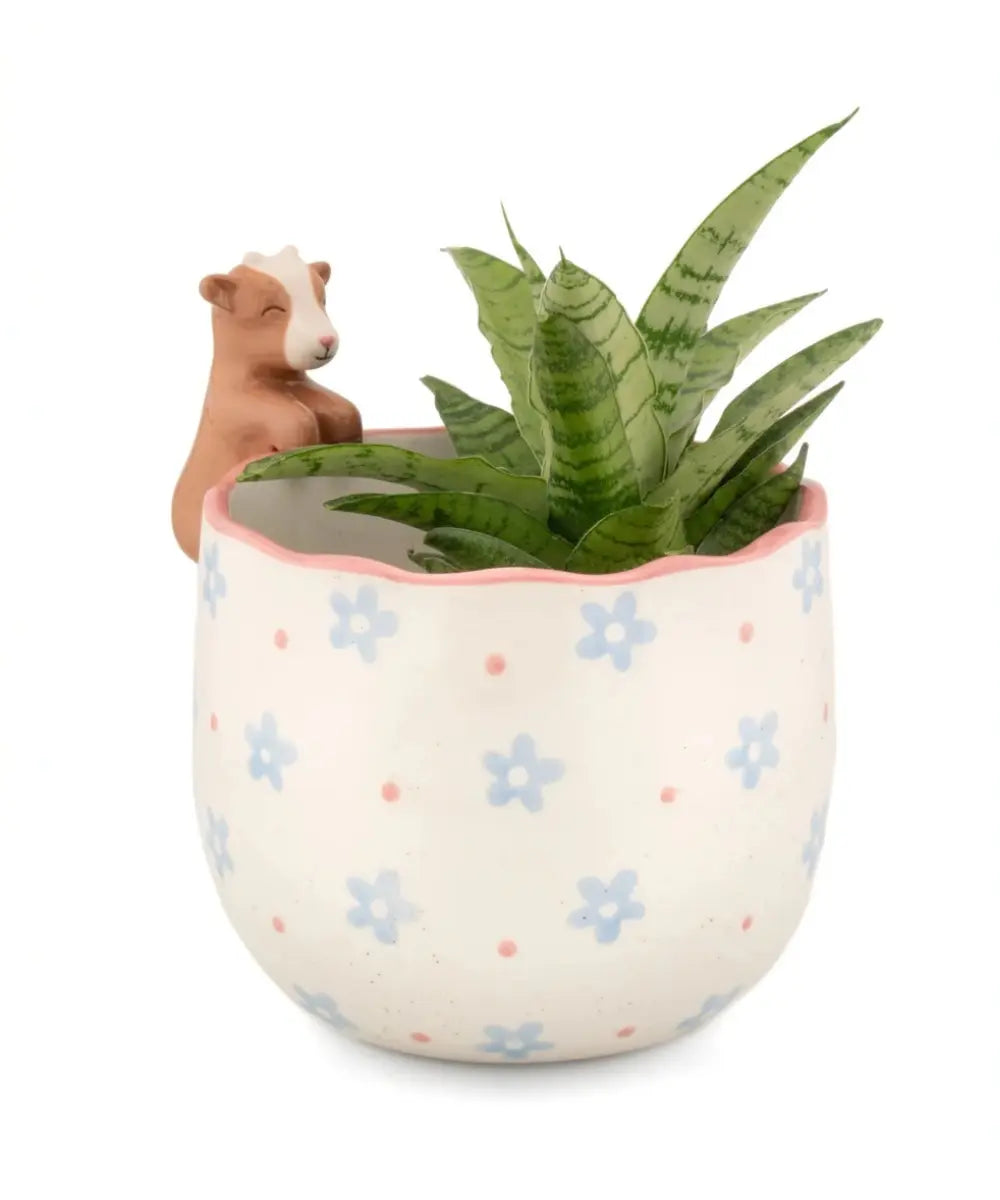 Cache pot chevre peeking goat sass and belle en porcelaine bleue pour plante d interieur.