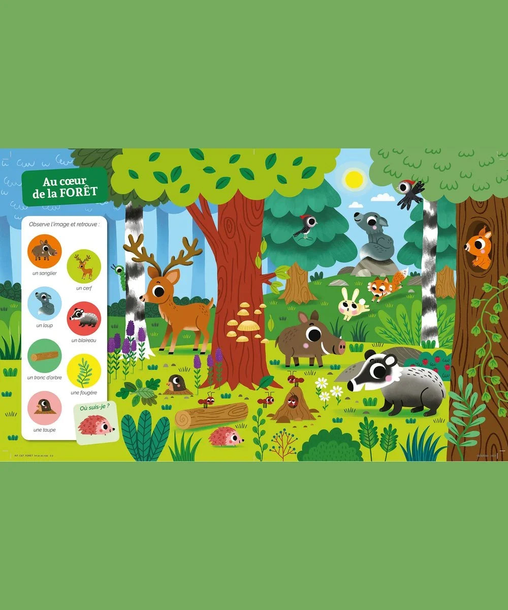 Vue en situation de Cherche et trouve des tout-petits - dans la forêt de la marque Auzou