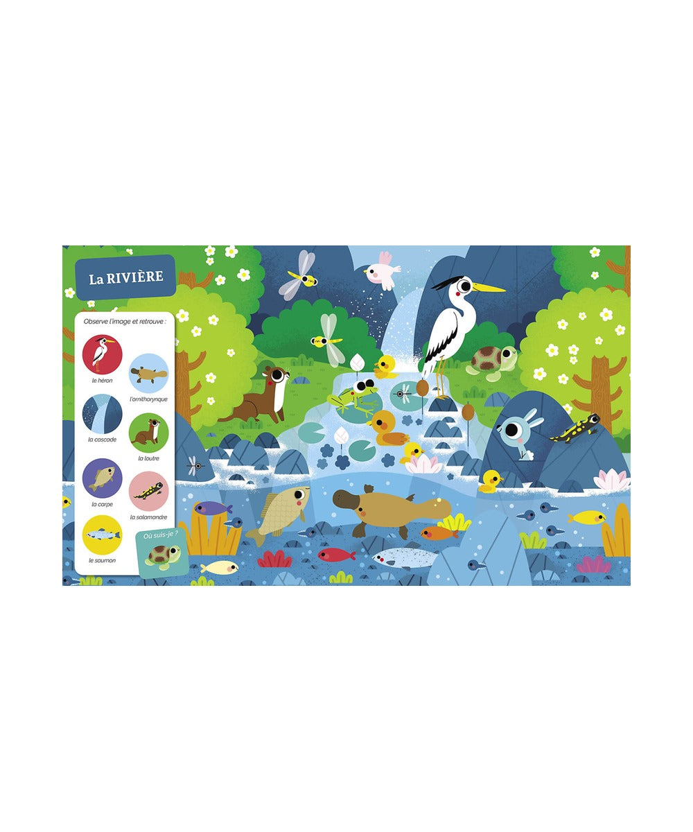 Cherche et trouve des tout-petits - Tous à l’eau ! — Auzou — vue 4