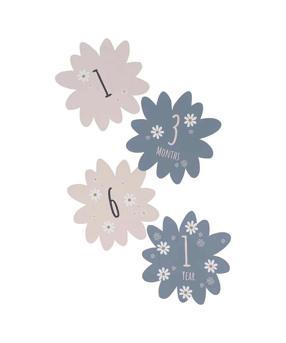 Cartes étapes du coffret de naissance Daisy Blue de Petit Artichaut