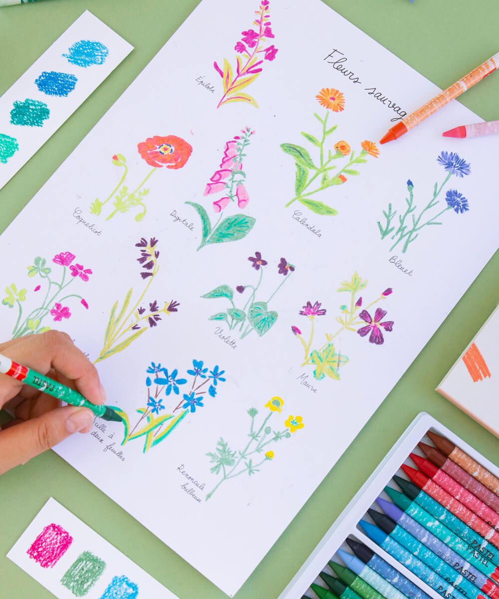 Coffret pastel au numéro Fleurs Sauvages de la marque La Petite Épicerie, en mise en scène