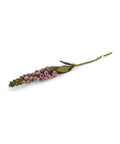 Digitale rose clair de la marque Gry & Sif, sur fond blanc