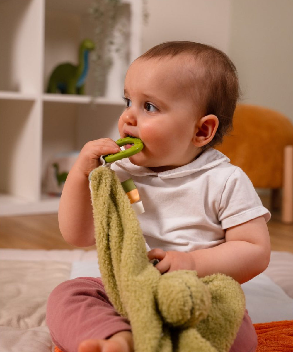 Vue d'ensemble en situation de Doudou - Rex le Tyrannosaure de la marque Little Big Friends