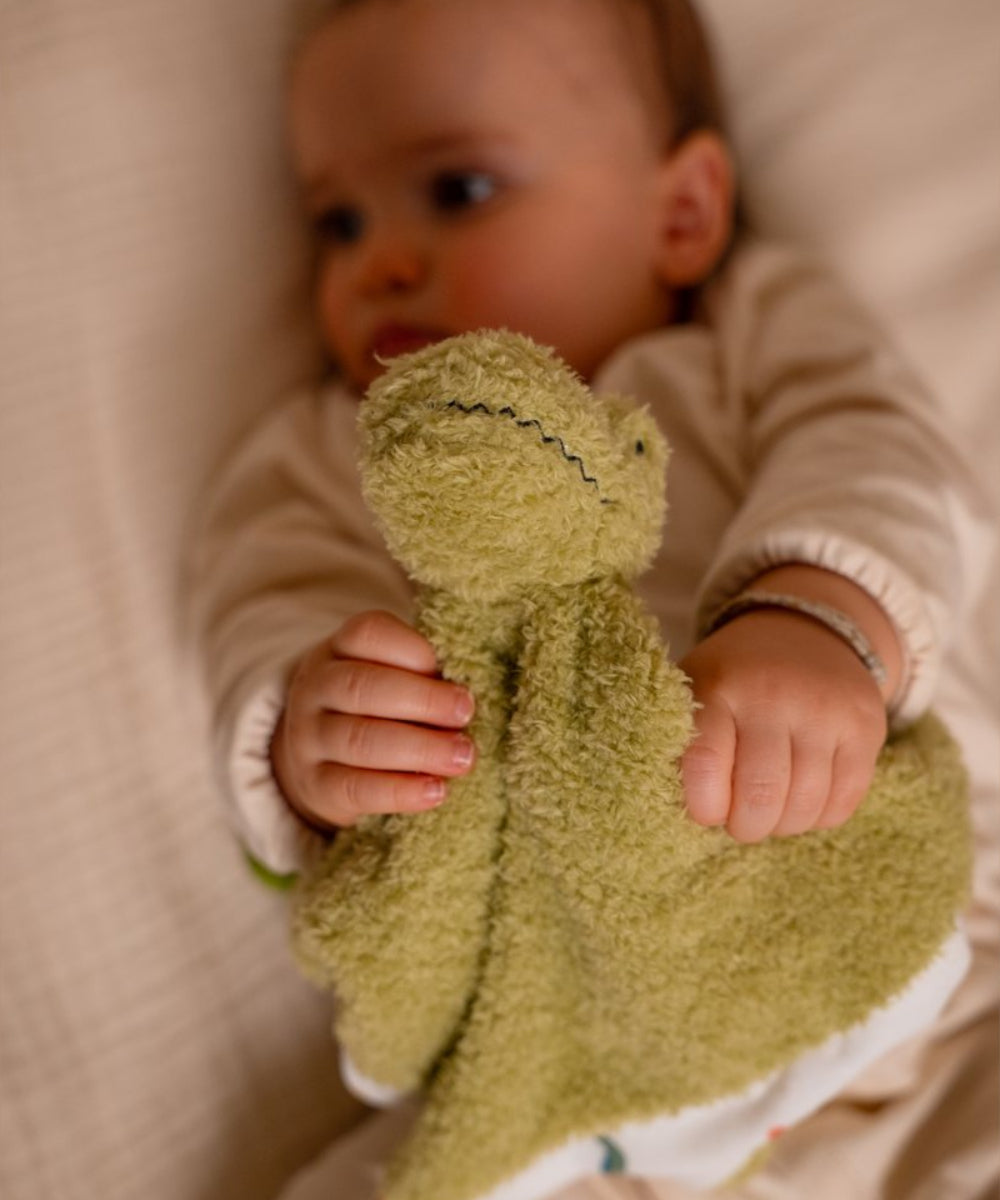 Vue d'ensemble en situation de Doudou - Rex le Tyrannosaure de la marque Little Big Friends