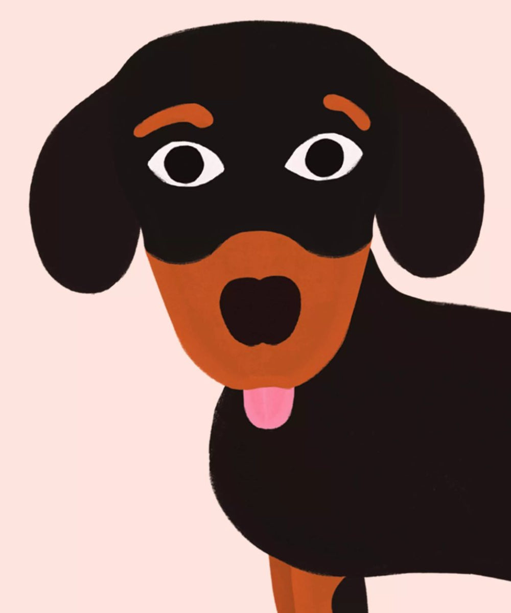 Gros plan sur l'llustration originale d'hirondelles de l'éventail Teckel de Cuikui