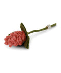 Fleur d'artichaut rouge poudré de la marque Gry & Sif, sur fond blanc