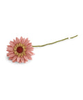 Fleur de gerbera pêche clair de la marque Gry & Sif, sur fond blanc