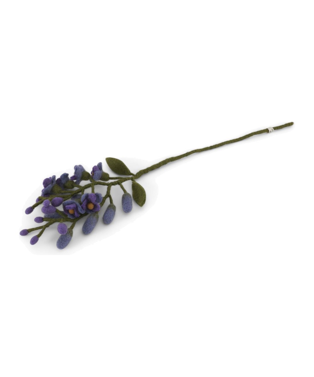 Glycine violet de la marque Gry & Sif, sur fond blanc