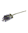 Glycine violet de la marque Gry & Sif, sur fond blanc