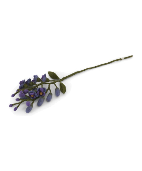 Glycine violet de la marque Gry & Sif, sur fond blanc