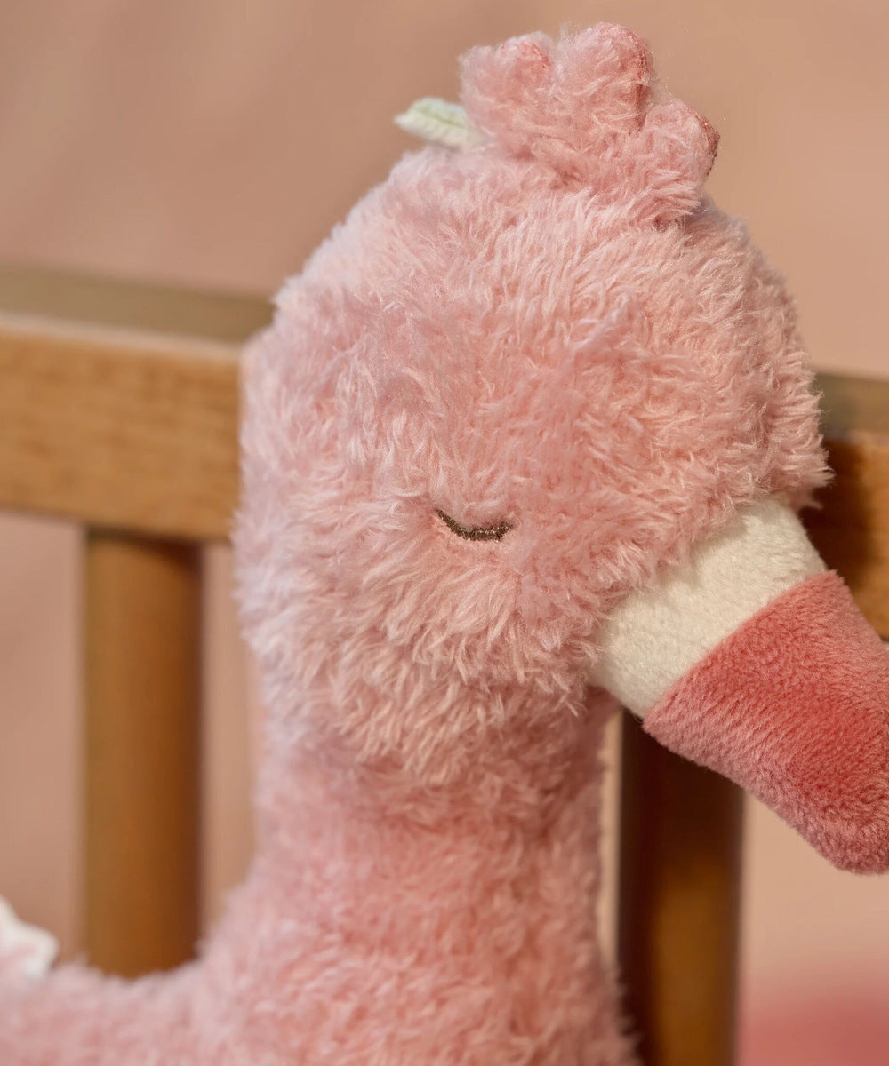Détail du plumage et du bec du flamant rose musical