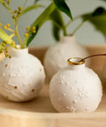 Gros plan en situation de Lot de 3 mini-vases Boules d'hiver de la marque Räder