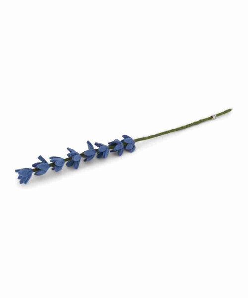 Lupin bleu vif de la marque Gry & Sif, sur fond blanc