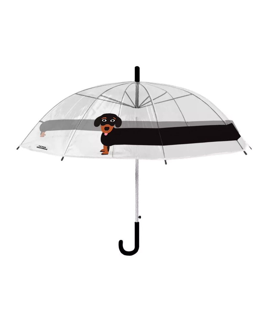 Parapluie chien Teckel de Cuikui sur fond clair