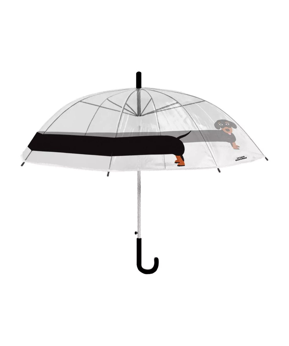 Vue détaillée de Parapluie chien Teckel de Cuikui sur fond clair