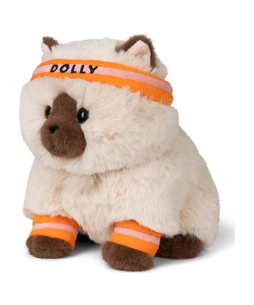 Peluche Chat Ragdoll Dolly 23 cm de Bon Ton Toys, de trois quarts avec ses accessoires orange