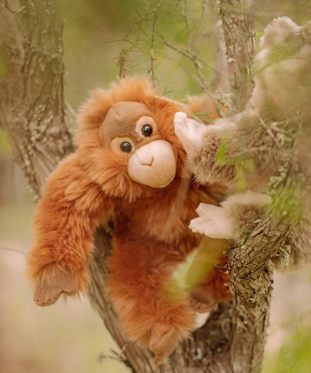 Peluche Orang-outan WWF 23 cm de Bon Ton Toys, installé contre un tronc dans un décor végétal