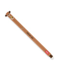 Stylo à Encre Gel Effaçable Teddy Bear « Dream Big » - Erasable Pen Legami
