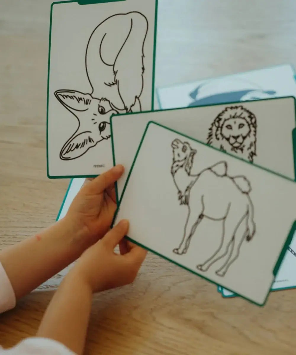 Tablette à dessin Kidydraw-Mini Animaux autour du monde Kidywolf
