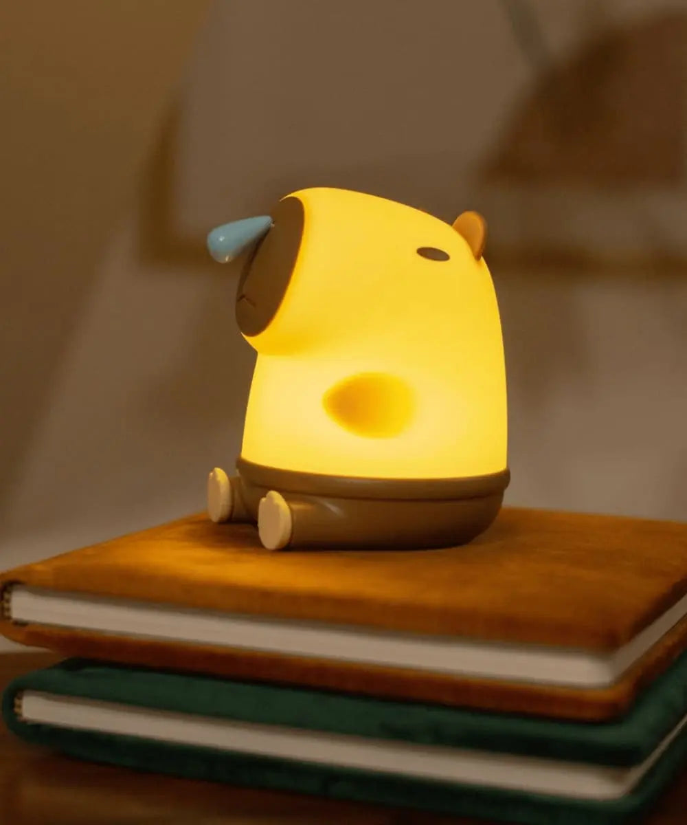 Rechargeable et avec une automie longue, elle est parfaite à emmener partout !