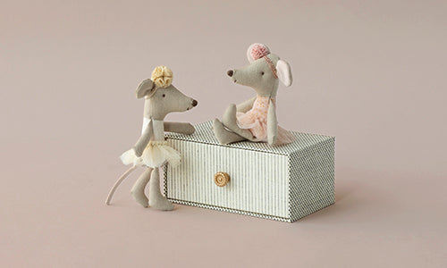 Le petit ballet